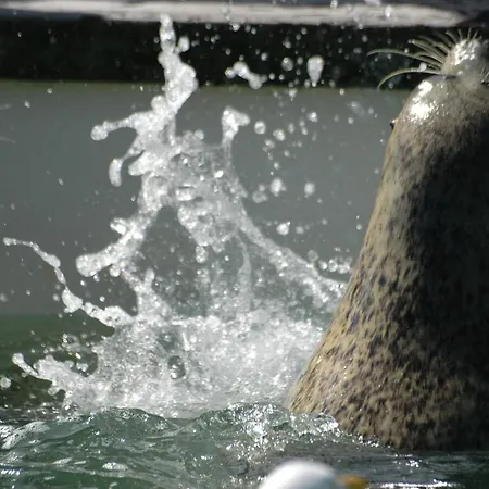 شقة Aangenaam Texel Duo *