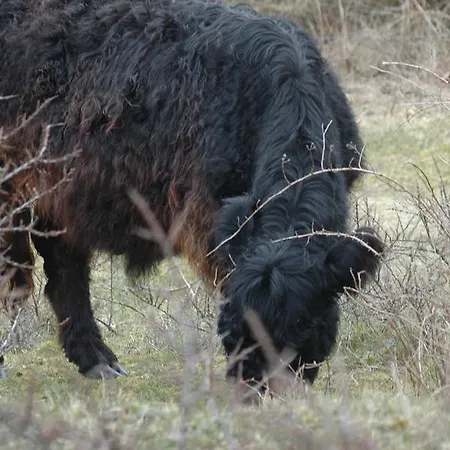 Aangenaam Texel Duo