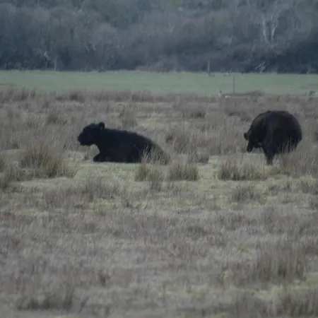 شقة Aangenaam Texel Duo دي كوخ