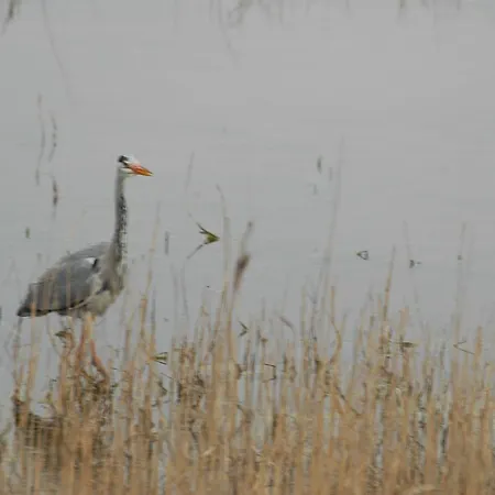شقة Aangenaam Texel Duo