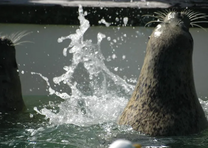 Apartment Aangenaam Texel Duo *