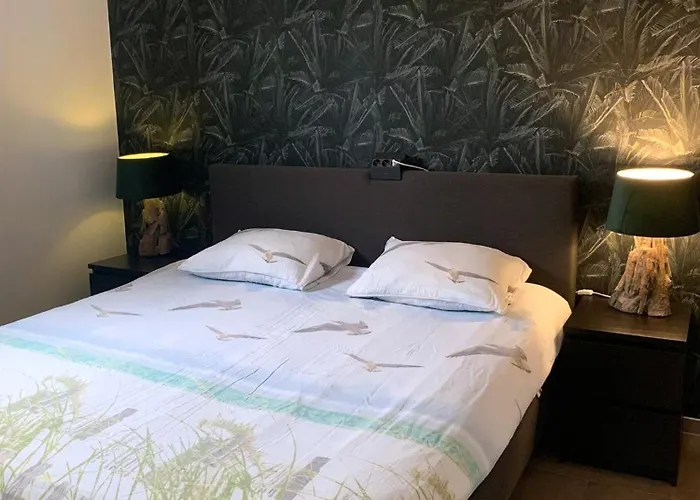 Aangenaam Texel Duo Апартаменты Де-Коог