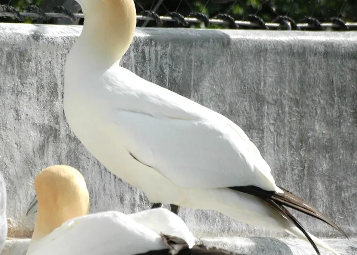 Aangenaam Texel Duo * De Koog (Texel)