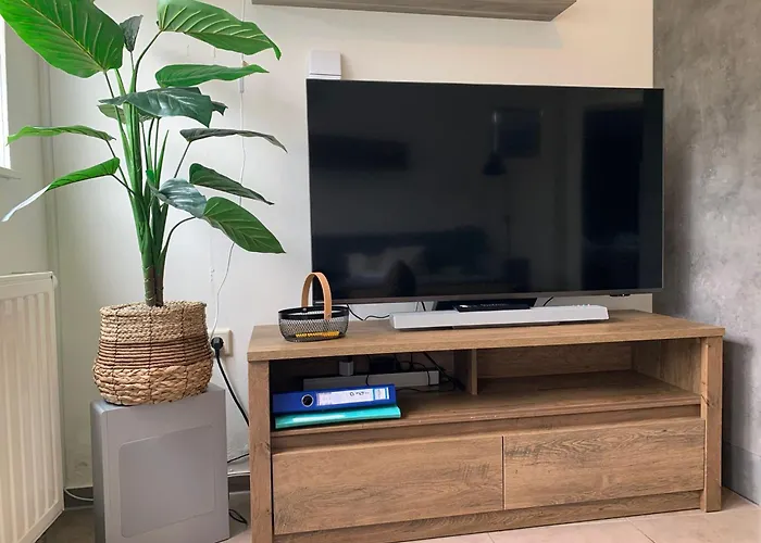 Aangenaam Texel Duo Апартаменты