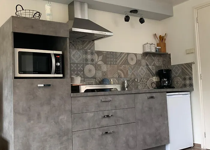 Aangenaam Texel Duo Apartment *