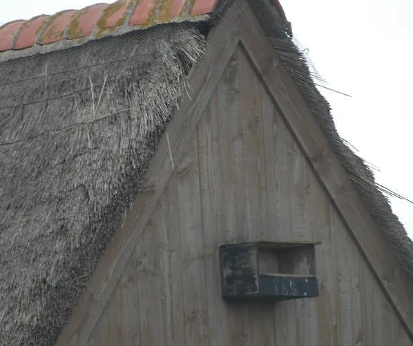 Aangenaam Texel Duo De Koog (Texel)