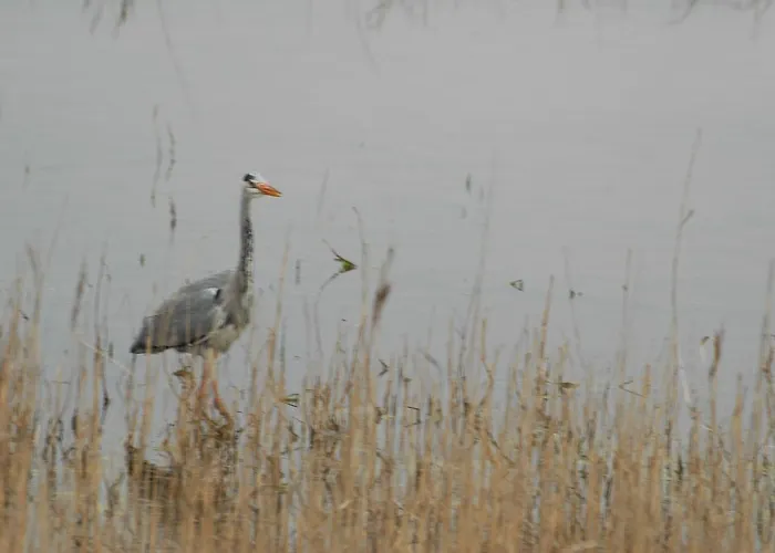Appartamento Aangenaam Texel Duo