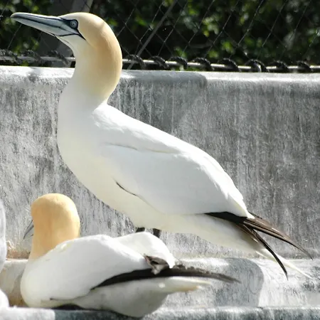 Aangenaam Texel Duo * De Koog (Texel)